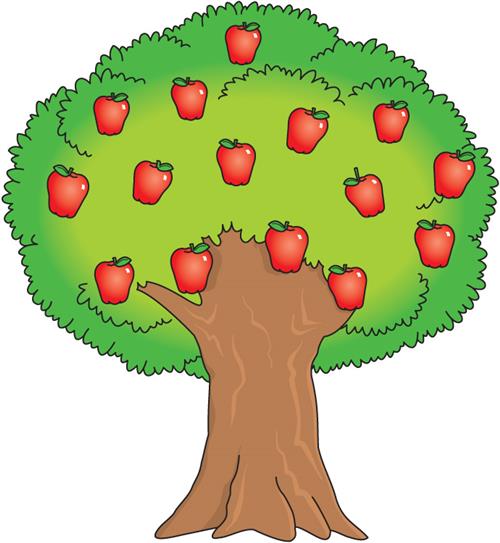 Apple Tree 